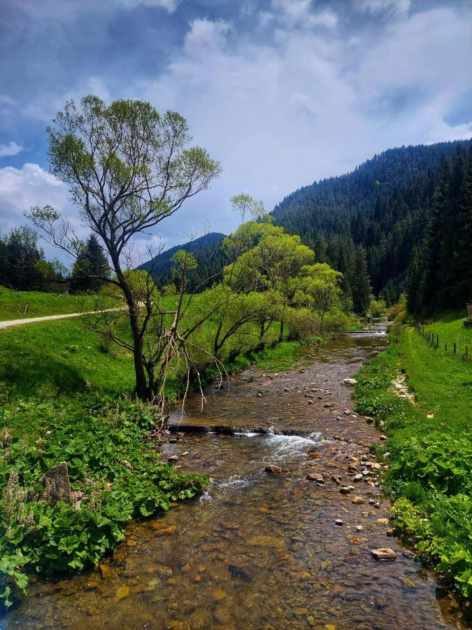 Къща За Гости Иглика Trigrad Dış mekan fotoğraf
